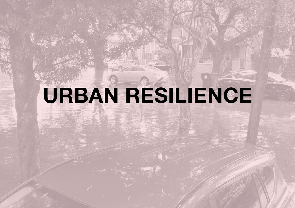 Research Seminar: Urban Resilience
